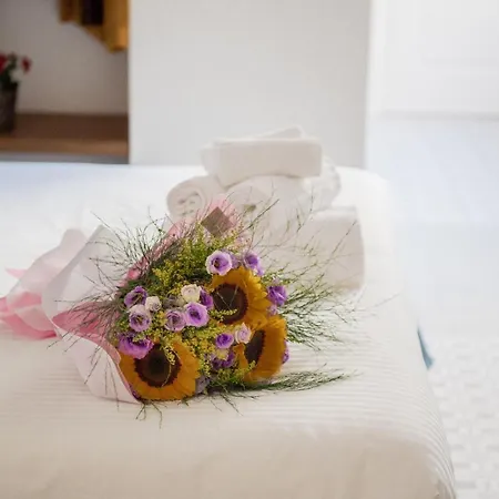 Novecento Bed & Breakfast Campobasso Exterior photo